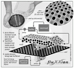fluXXion